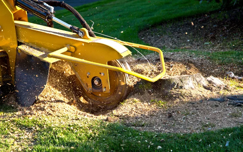 stump grinding in Danville VA