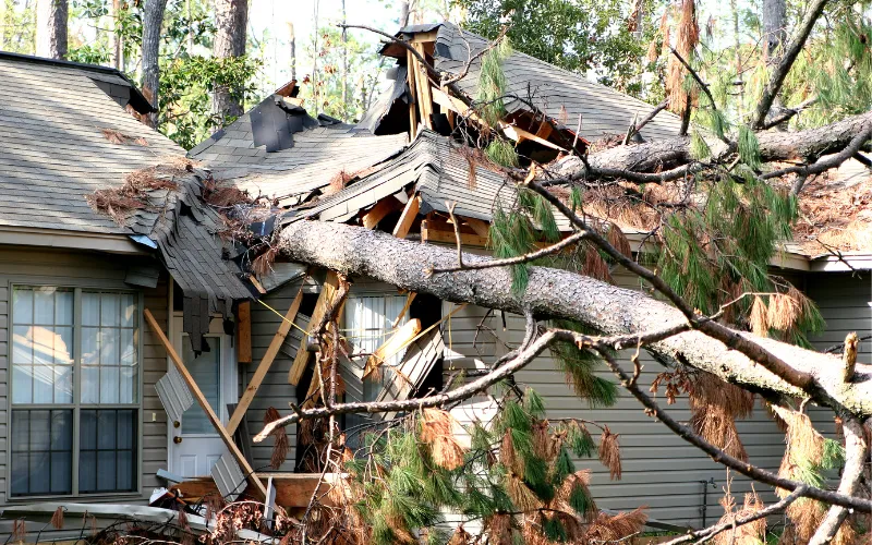 tree storm damage fell on house in Danville VA